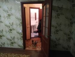 Однокімнатна квартира в Росошенцях фото 3
