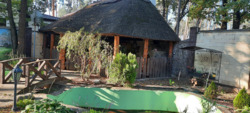 Продам двухэтажный уютный дом в пригороде Полтавы с. Копылы. В сосновому лесу фото 2