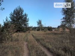 Продажа земельного участка под жилую застройку в селе Терентиевка, Полтавской области, площадь 15 соток фото 2