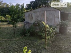 Продажа земельного участка сельскохозяйственного назначения в селе Петровка, фото 4