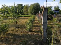 Продажа земельного участка сельскохозяйственного назначения в селе Петровка, фото 2